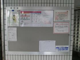 15/15 その他画像