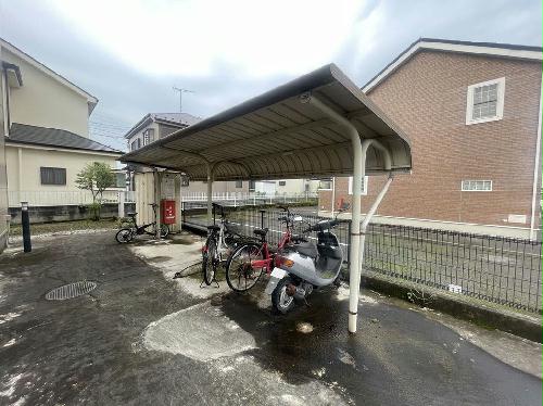 8/17 その他画像