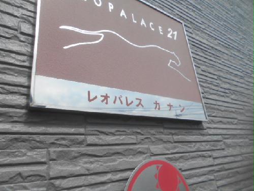 8/14 その他画像