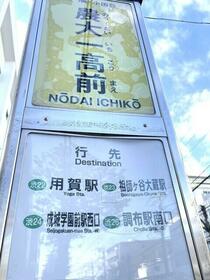 10/16 その他画像