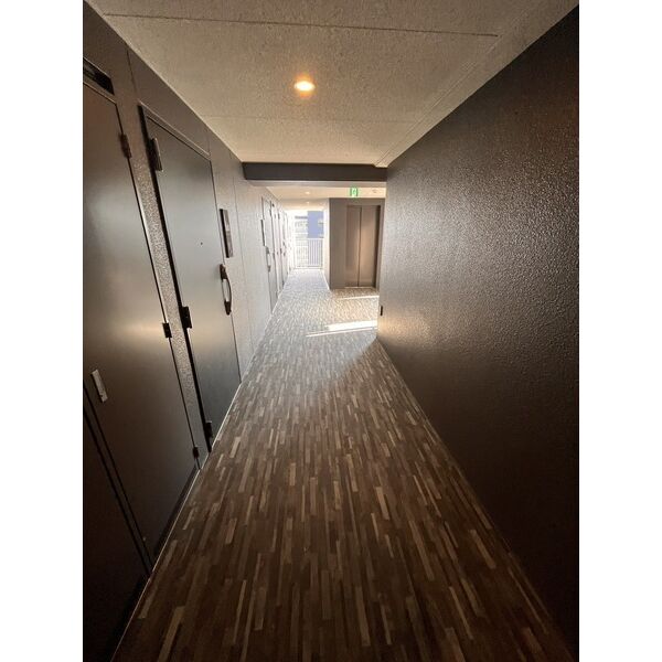 13/18 その他画像