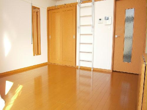 13/13 その他画像