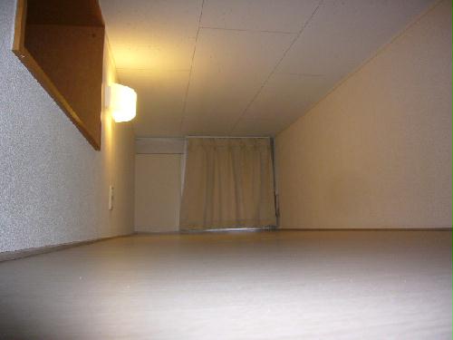 11/14 その他画像