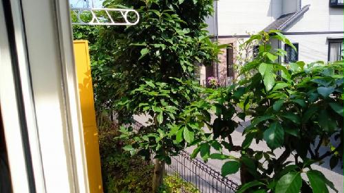 12/17 その他画像