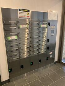 15/16 その他画像