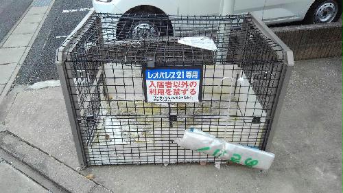 10/14 その他画像