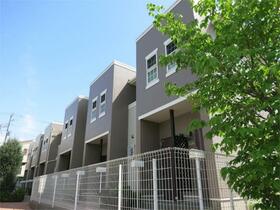 レカンドコリーヌの画像