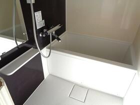 6/16 その他画像