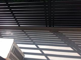 11/17 その他画像