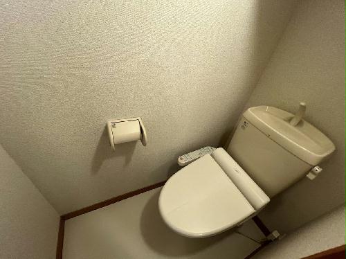 8/14 その他画像