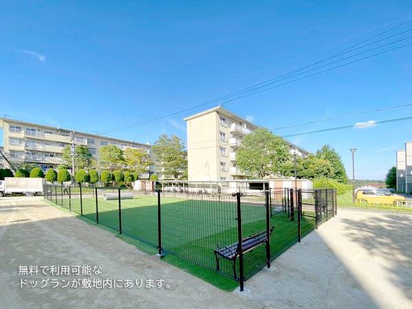 14/19 その他画像