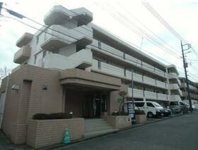 3/16 その他画像