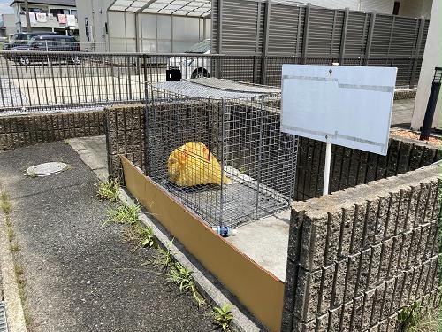 11/14 その他画像