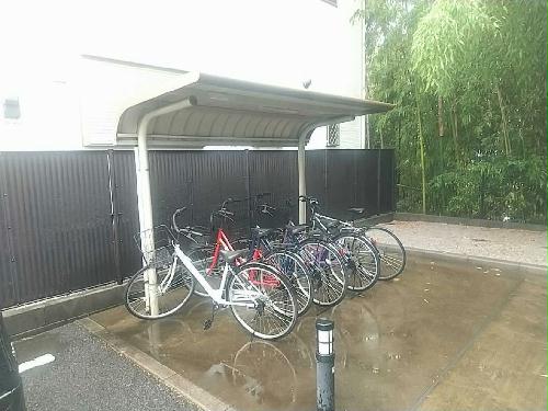 5/15 その他画像