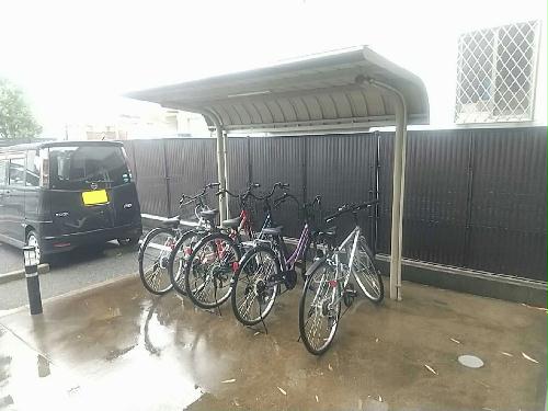 6/15 その他画像