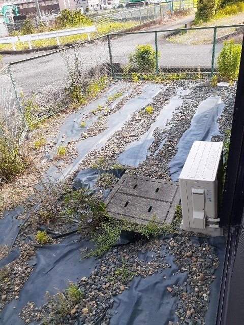 11/20 その他画像