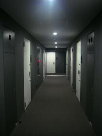 11/26 その他画像