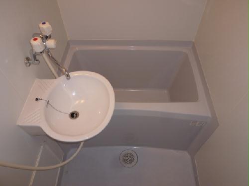 11/14 その他画像