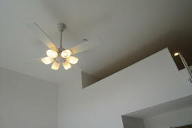 3/16 その他画像