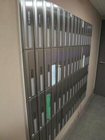 15/16 その他画像