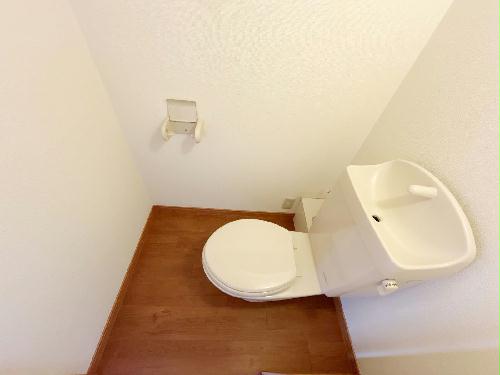 8/14 その他画像