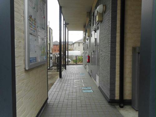 11/14 その他画像