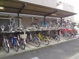 15/16 その他画像