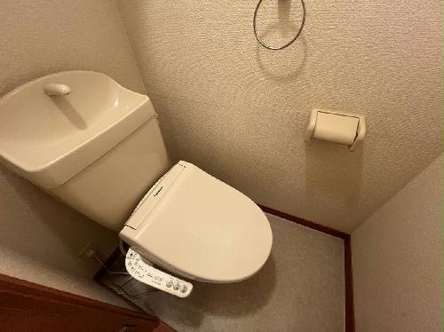 8/14 その他画像