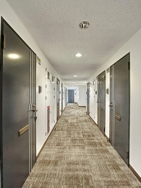 6/11 その他画像