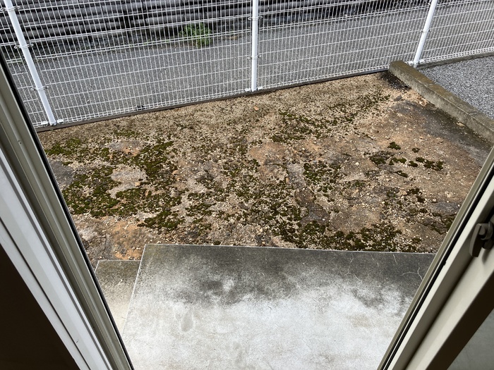 16/27 その他画像