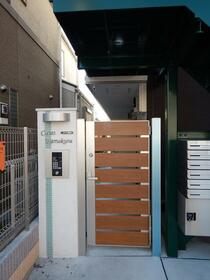 4/11 その他画像