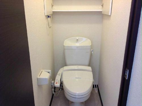 11/14 その他画像