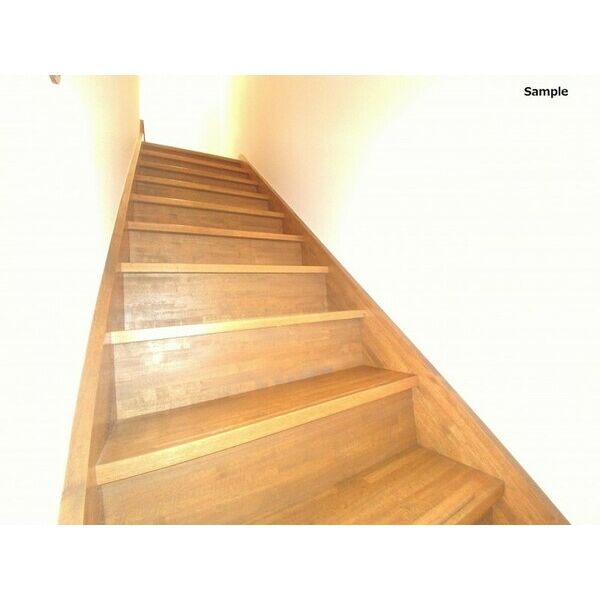 15/17 その他画像