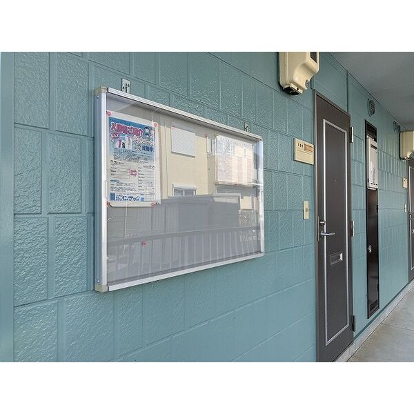 6/11 その他画像