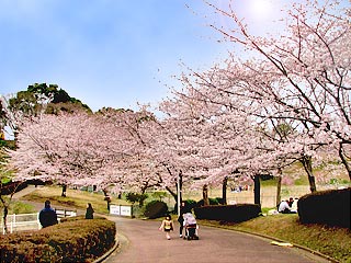 4/14 周辺