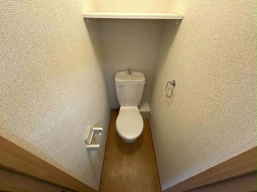 8/16 その他画像