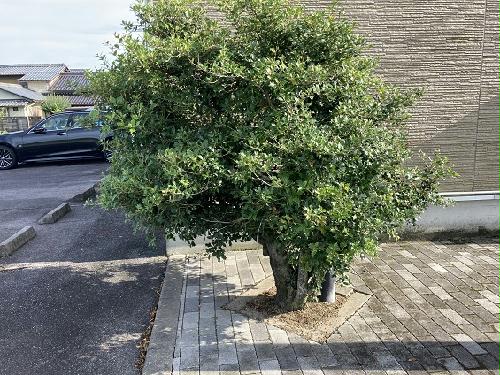 13/16 その他画像