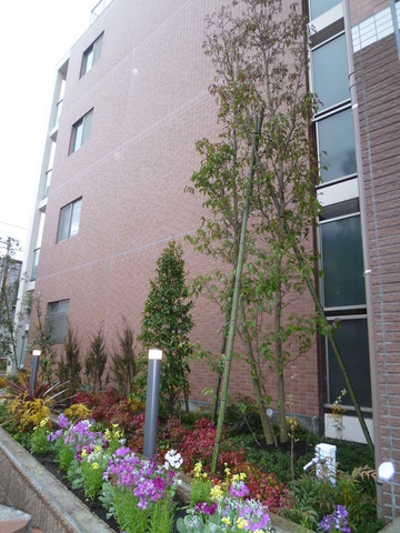 3/13 その他画像