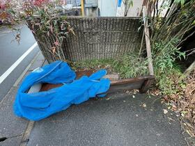 11/16 その他画像