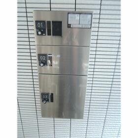 6/15 その他画像