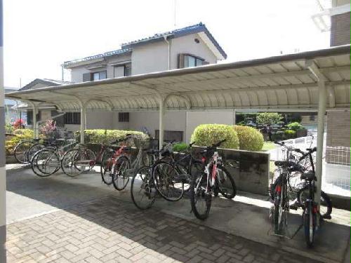 8/13 その他画像