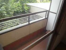 11/11 その他画像