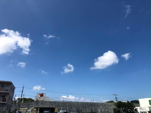 12/15 その他画像