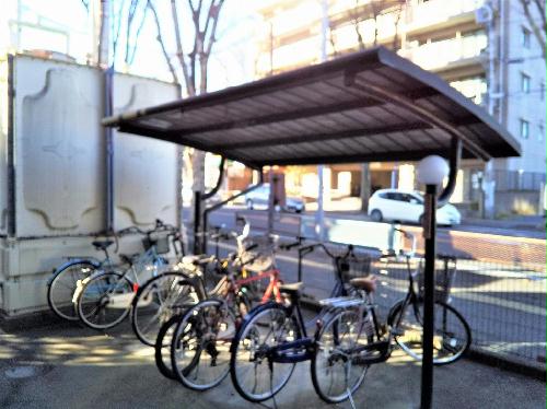 12/19 その他画像