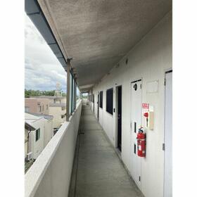 11/11 その他画像