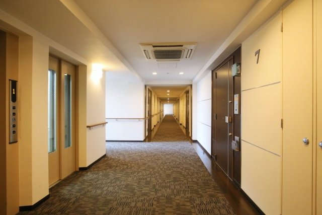 25/29 その他画像