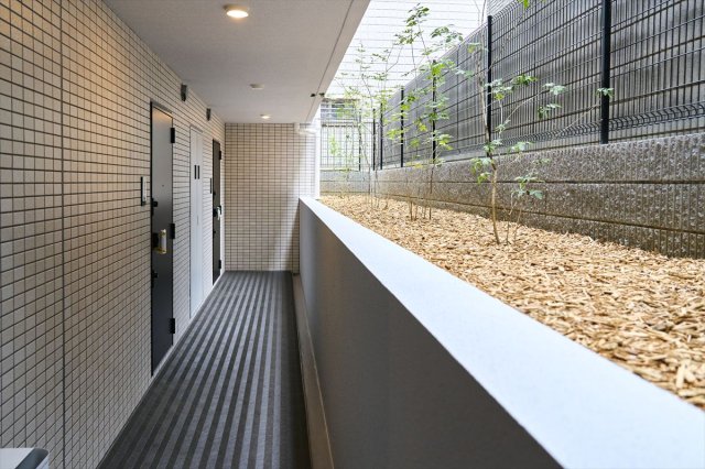 24/29 その他画像