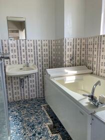 5/11 その他画像