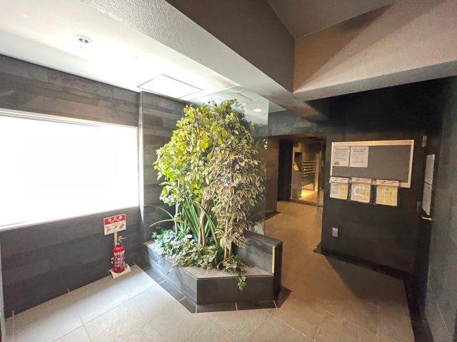 15/25 その他画像