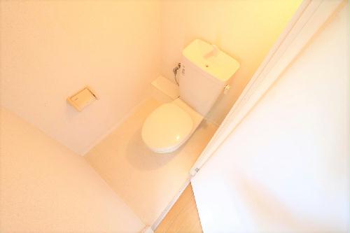 11/14 その他画像